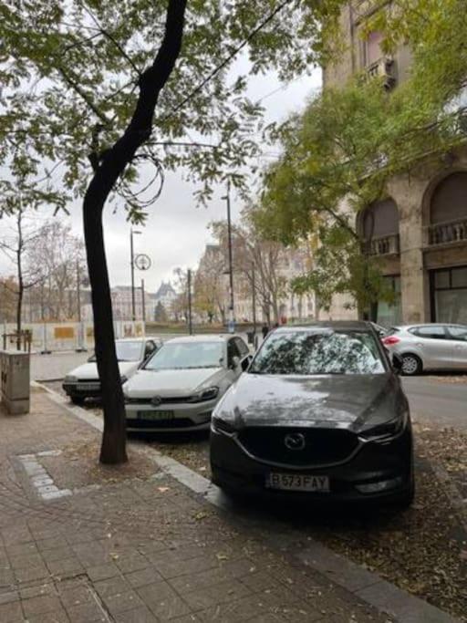 A13 Parliament Sunflower Cozy Apartment Budapest Eksteriør bilde